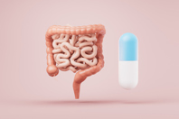 Intestinal tract with digestive health-GettyImages-1985026058