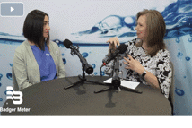 ace-24-WT-badger-meter