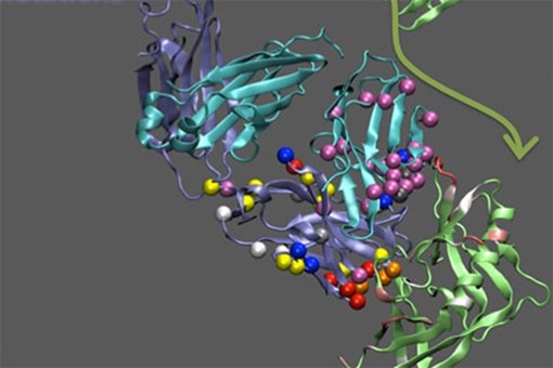 8619351639_3956745910_b