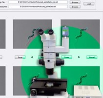 Tracking Worm Movements Using Prior Scientific’s Optiscan Motorized Stage System article2