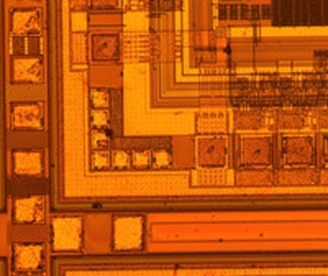 Omek Optics Demonstrates Innovative Microscopy Solutions With AVT Cameras