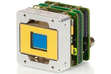 NEWXSW-640OEMModule NEWXSW-640OEMModule