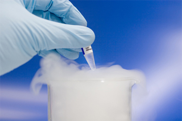 GettyImages-172670893-cell-bank-cyropreservation-liquid-nitrogen GettyImages-172670893-cell-bank-cyropreservation-liquid-nitrogen