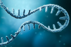 GettyImages-1295693748-mRNA-strand