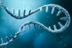 GettyImages-1295693748-mRNA-strand