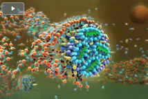 Precision Nanosystemns