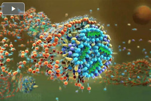 Precision Nanosystemns