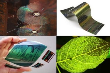 Optoelectronics Optoelectronics