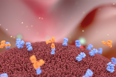 GettyImages-1033017918 cell membrane GettyImages-1033017918 cell membrane