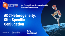 25_03_BPOL_1280x720_Seg05