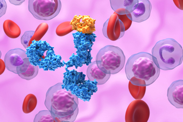 GettyImages-2182054861-mab-process-capture-3d-close-up GettyImages-2182054861-mab-process-capture-3d-close-up