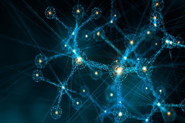 sialic-acid-GettyImages-1497108072