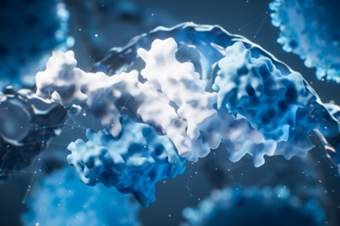 GettyImages-2202060913-protein-structure-blue-and-white-3d GettyImages-2202060913-protein-structure-blue-and-white-3d