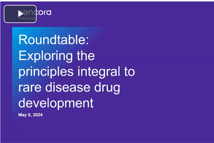 Exploring The Principles Integral To Rare Disease Drug Development