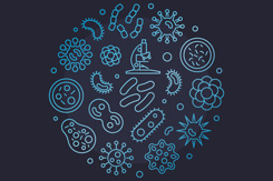 Microbes-GettyImages-1442048123