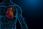 human-heart-cardiac