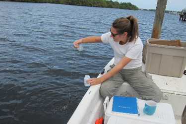 septic-system-newsdesk