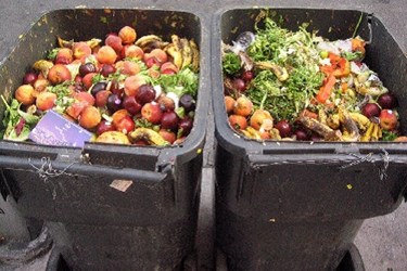 Tackling Food Waste Sustainability