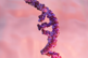 GettyImages-1453953422 RNA
