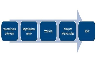 OGT Expands NGS Offering With Targeted Familial Sequencing And Analysis