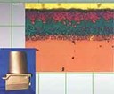 Chromium-Aluminum Diffusion Coating Chromium-Aluminum Diffusion Coating