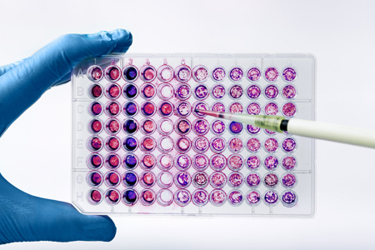 FDA Plausible Mechanism_GettyImages-1421852824 FDA Plausible Mechanism_GettyImages-1421852824