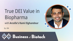 24_01_BoB_1280x720_Ep206