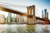 Dolphin Sighting In NYC River Bodes Well For Water Quality GettyImages-500619014_450_300