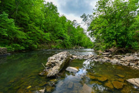 Cahaba River-GettyImages-2152826831