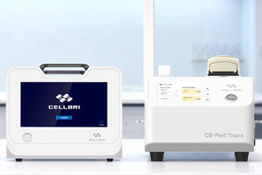 CellBri Small Tools CellBri Small Tools