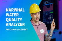 narwhal-1