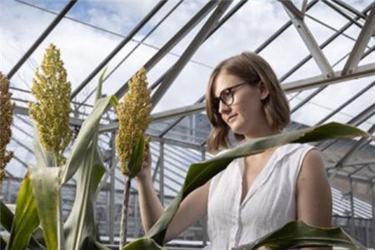 crispr crispr