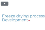 freeze drying process