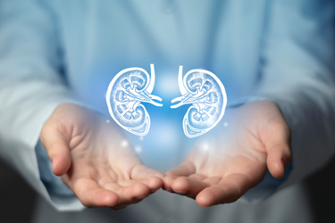 GettyImages-1360864678-cryo -lungs-cryopreservation-freeze GettyImages-1360864678-cryo -lungs-cryopreservation-freeze