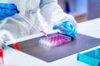 De-Mystifying Regulatory Support During Viral Vector-Based Development GettyImages-2173307727-scientist-gloves-cell-culture-assay-pipette