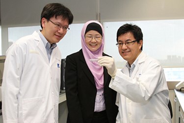 IBN Research Team - Gold Nanoprobes