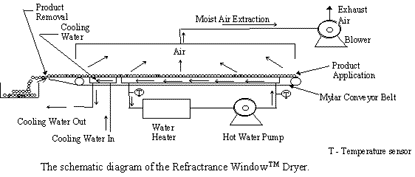 Refractance Window food drying system delivers quality product efficiently