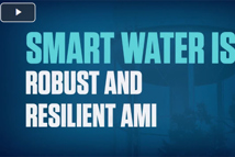 Robust and Resilitent.jpg