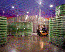 Plastic Pallets Decrease Downtime, Increase Bottle Handling Efficiencies Plastic Pallets Decrease Downtime, Increase Bottle Handling Efficiencies