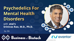 24_01_BoB_1280x720_Ep256