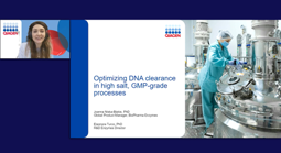 Optimizing DNA Clearance In High-Salt, GMP-Grade Purification Processes