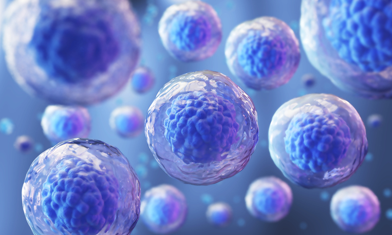 6 Emerging Trends In Using Stem Cell Assays