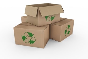 Food Packaging Sustainability 