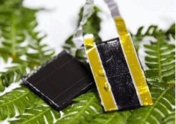 Bio-Inspired Energy Storage: A New Light For Solar Power