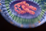 GettyImages-2287370476 RNA