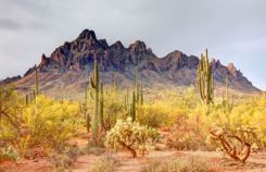 GettyImages-2196796502 tucson
