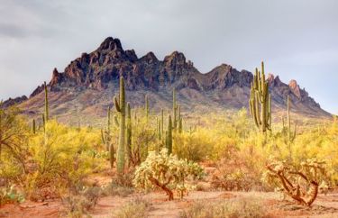 GettyImages-2196796502 tucson GettyImages-2196796502 tucson