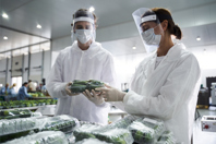 GettyImages-1268574717-food-inspect-ship-package