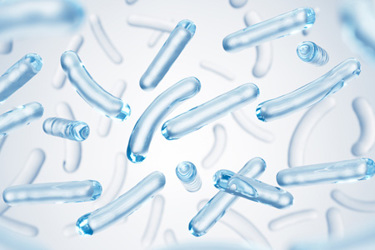 GettyImages-1871216402-anaerobic-cultivation-of-probiotics GettyImages-1871216402-anaerobic-cultivation-of-probiotics