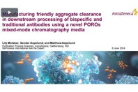 Manufacturing Friendly Aggregate Clearance In Downstream Processing